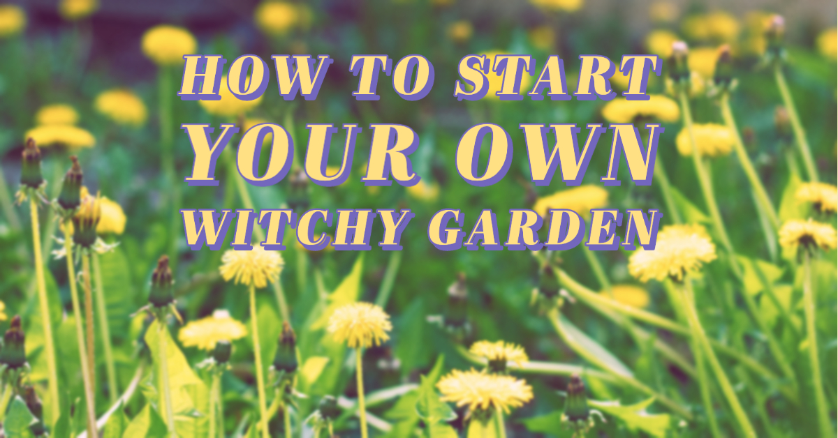 how to start your own witchy garden